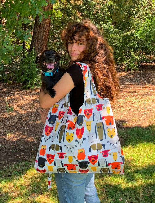 Furry Friends Collection